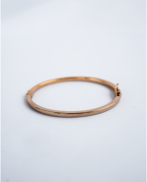 Pulseira Prata Dourada