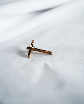 Cruz de Ouro Moderna